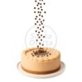 caravella-banado-chip-general