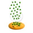 chip-100-gr-verde-general