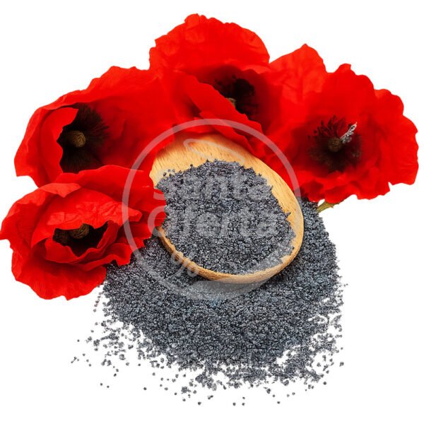 semilla-de-amapola-g